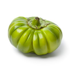 Aubergine amer / Diakhatou