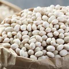 Haricot blanc Pot en Conserve