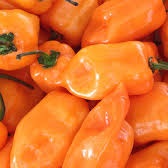 Piment Goana / Walo