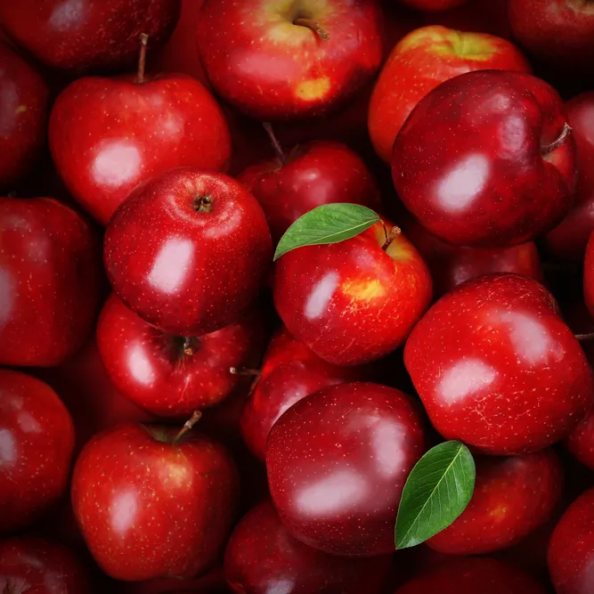 Pomme Rouge / KG