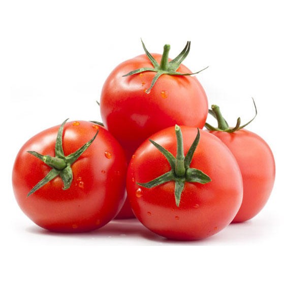 Tomate Fraiche Ronde / KG