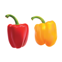 Poivron Jaune / Rouge