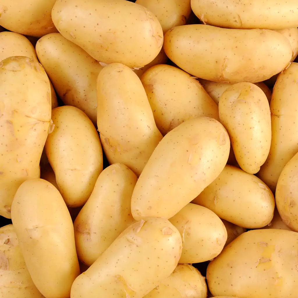 Pomme de Terre / KG
