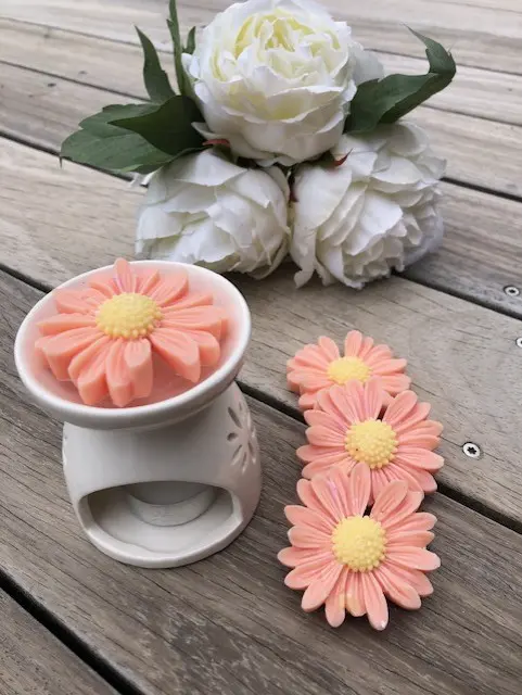 Andeu / Bruleur Charbon