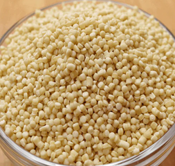 Mouhamsa Plomb Pastami