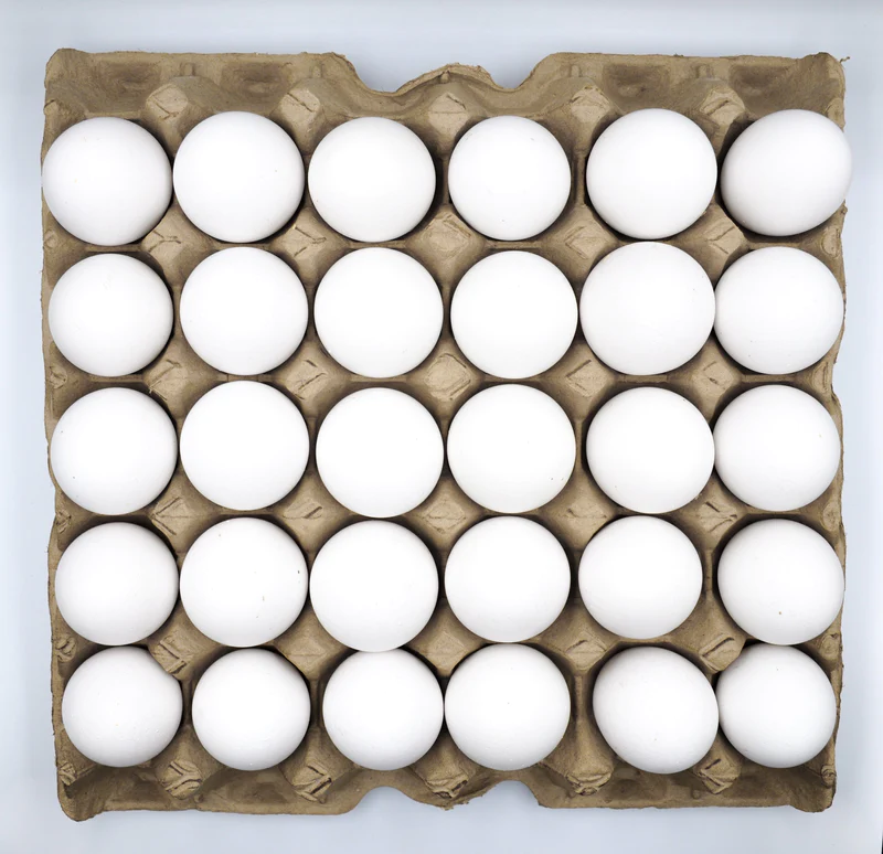 Tablette 30 oeufs