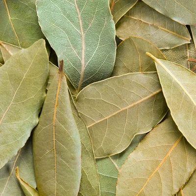 Laurier feuille / KG