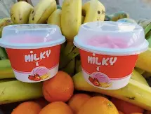 Milky Yaourt Glacé Pot 140ml
