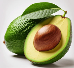 Avocat