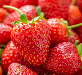 Fraise en vrac