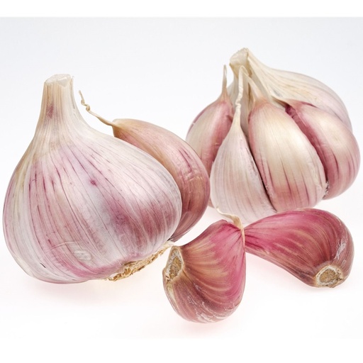 Gousse d'Ail  / KG