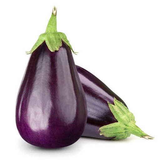 Aubergine / KG