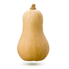 Courge / Nadio allongé