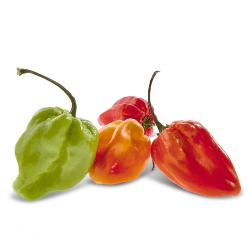 Piment Kani Xeegn Sachet