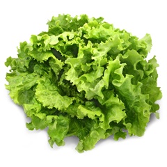 Salade