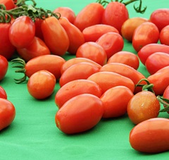 Tomate Fraiche petit modèle / KG