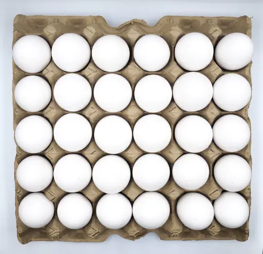 Tablette 30 oeufs