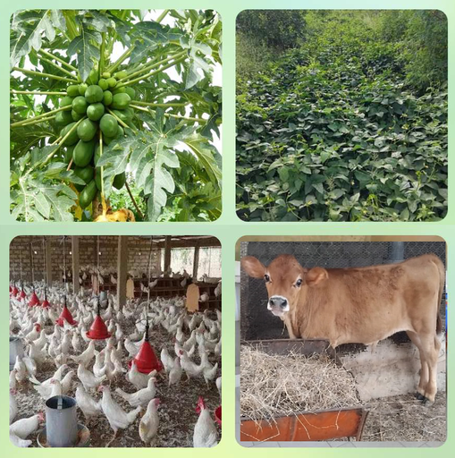 A01 - Introduction à l’agroécologie