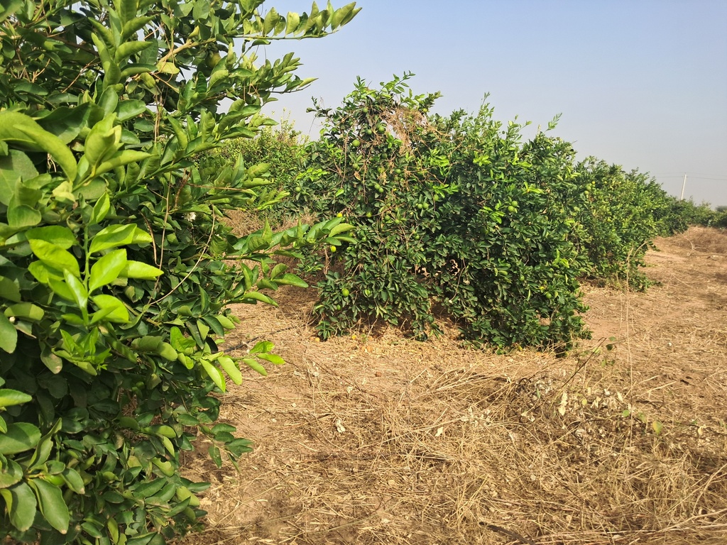 A03 - Diagnostic agroécologique d’une parcelle