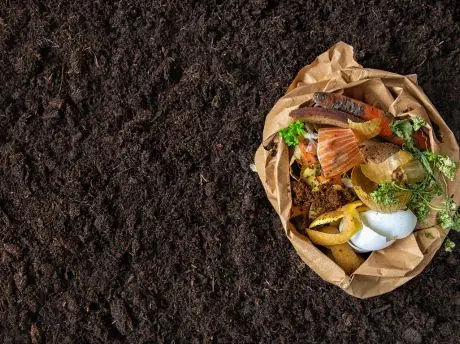 A05 - Compostage, biofertilisants et amendements organiques