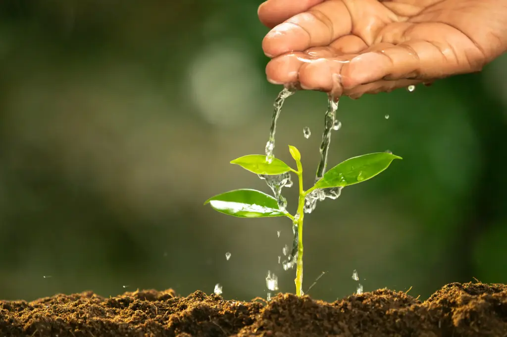 Gestion de l’eau et techniques de conservation des sols
