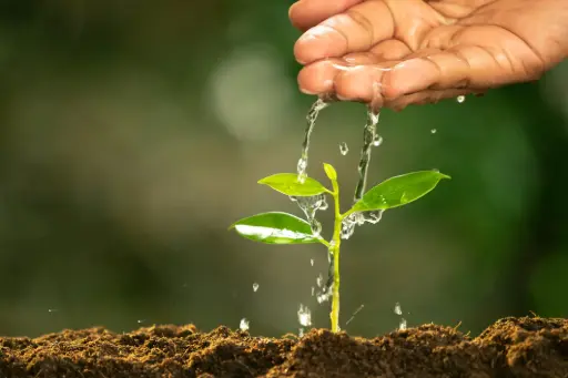 Gestion de l’eau et techniques de conservation des sols